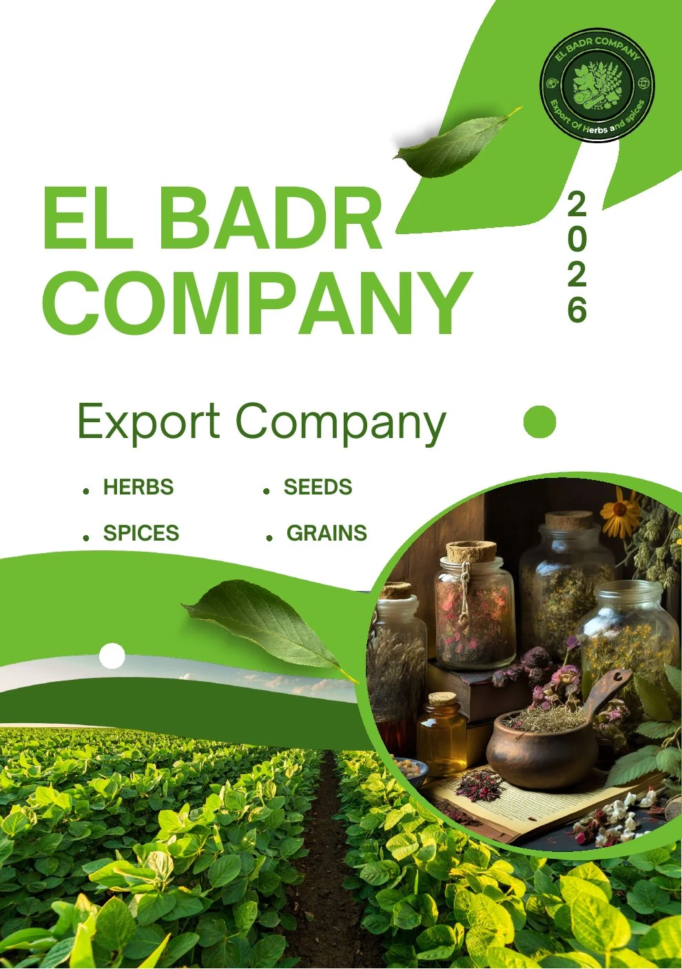 Cover of the EL BADR COMPANY product catalogue