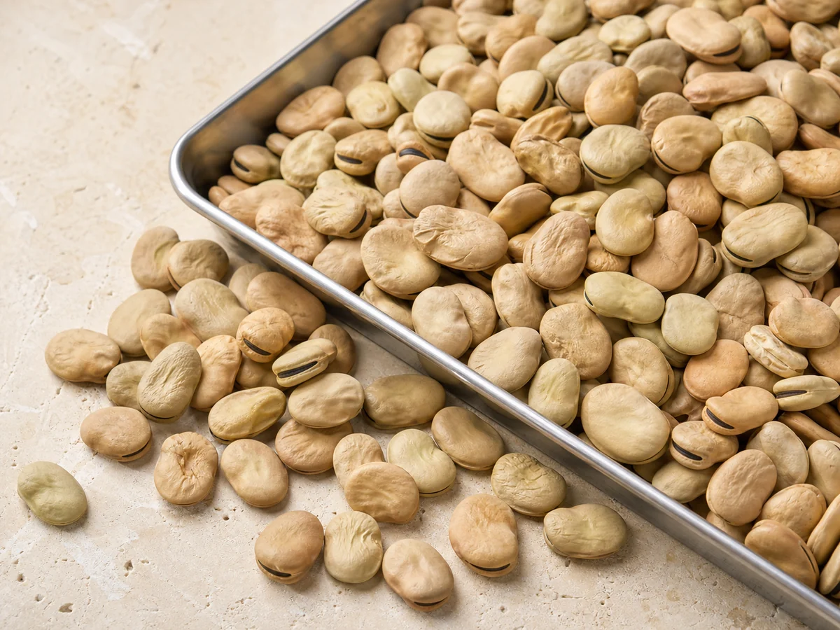 Whole dried Egyptian fava beans — EL BADR